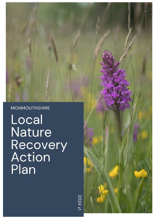 Monmouthshire Local Nature Recovery Action Plan