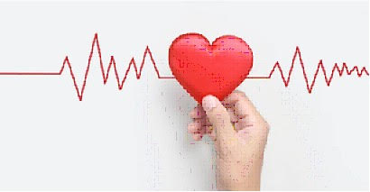 Cardiovascular Disease Survey
