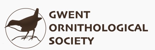Gwent Ornithological Society Walks in Monmouthshire