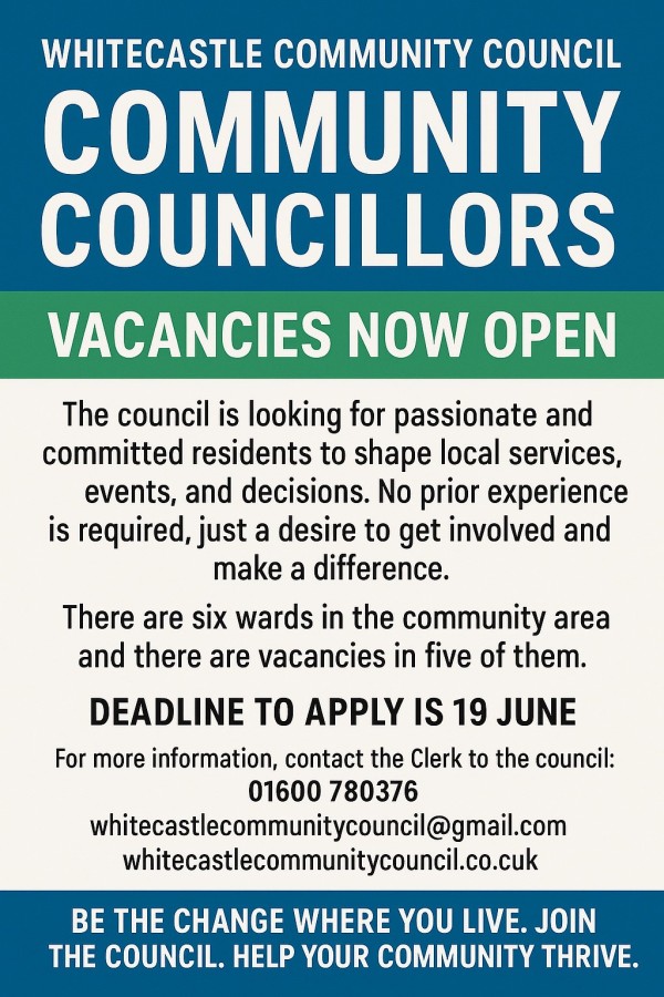 Do you want to represent your community?