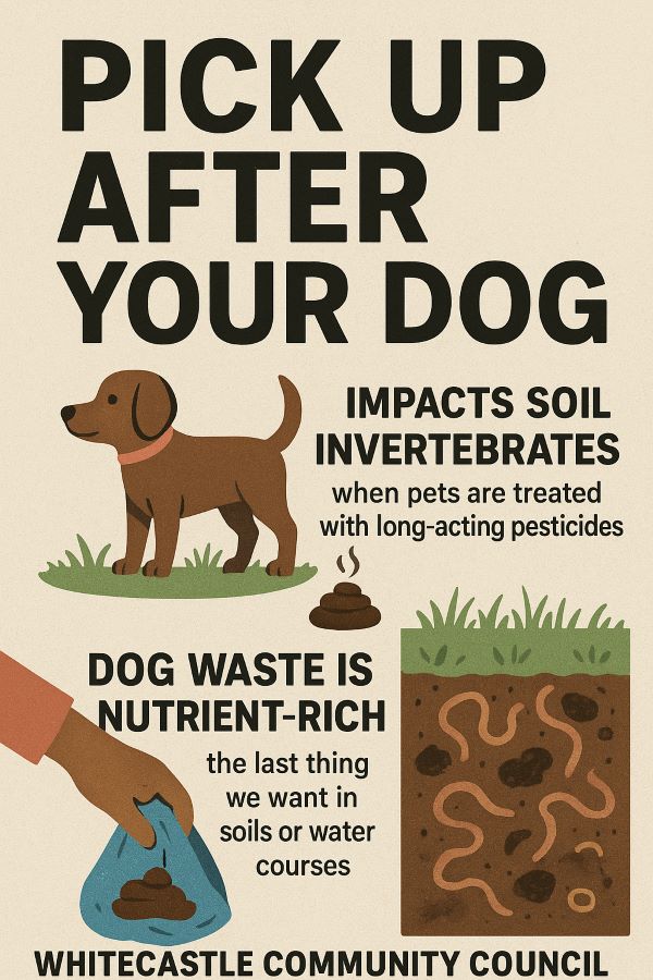 Pick up after your dog
