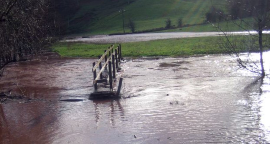 Flood Information - Quick Reference Guide